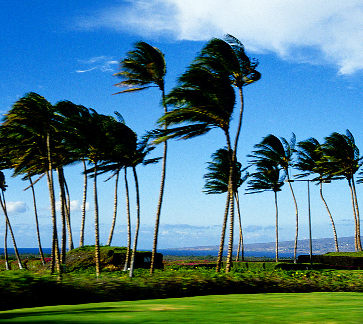 Winds over Mauna Lani=