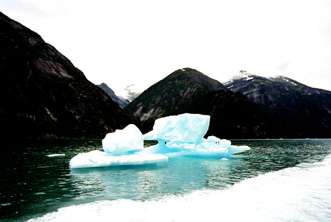 Iceberg-New York photographer