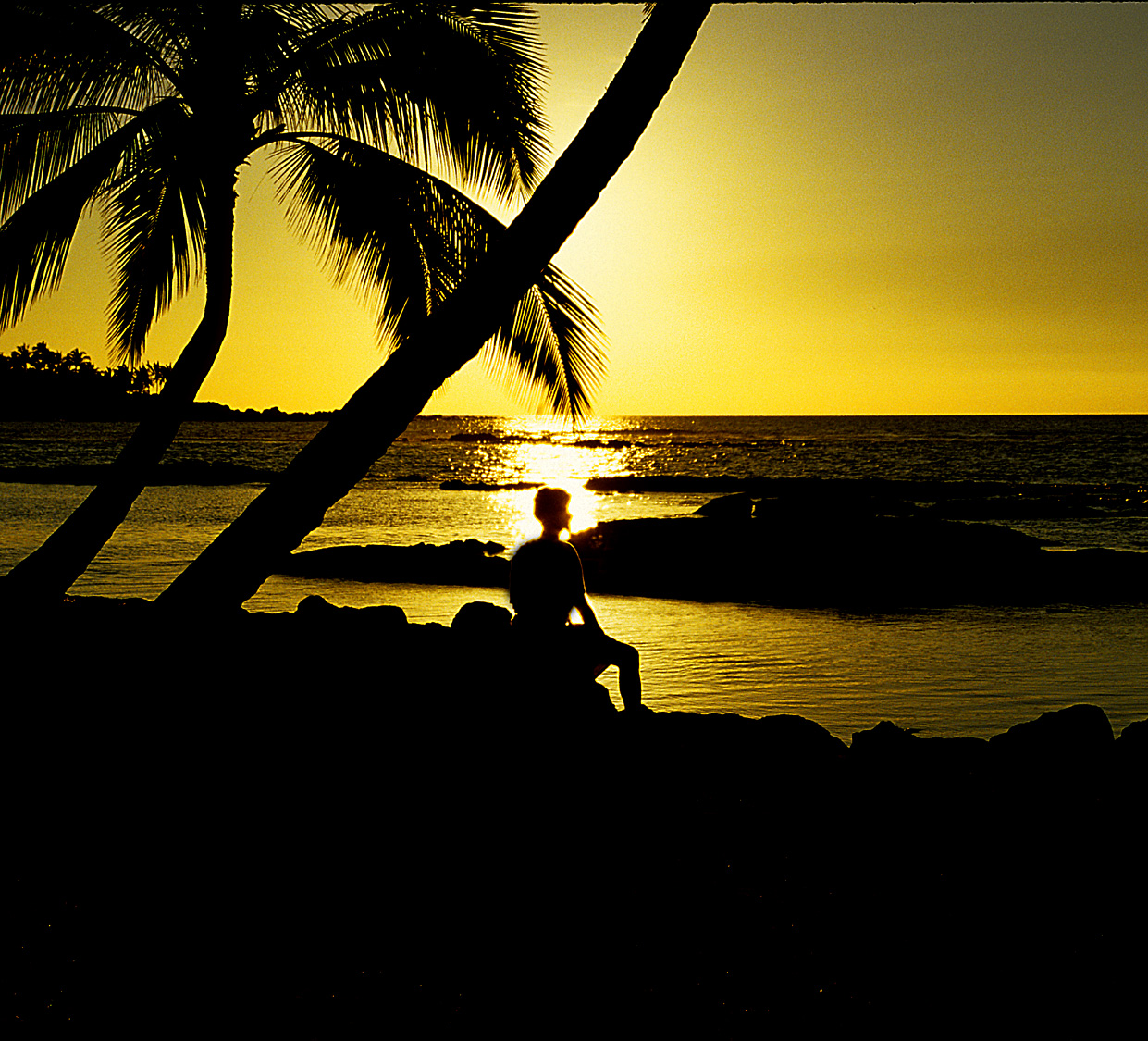 SpacemanHawaii